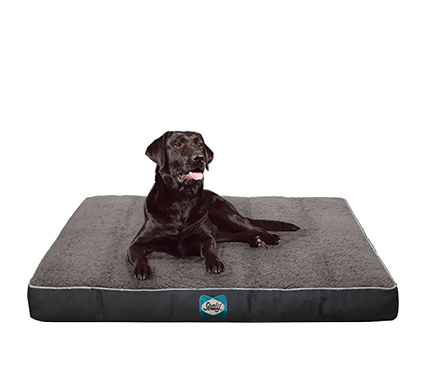 犬用 ドッグ ベッド 最高級マットレス ベッドなら 公式 シーリー Sealy
