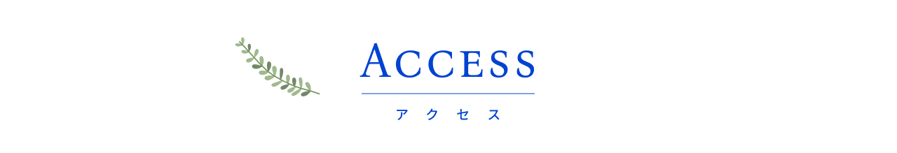 開催場所