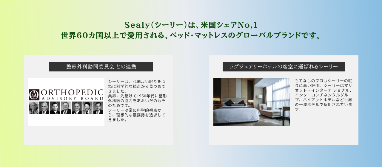 シーリーについて