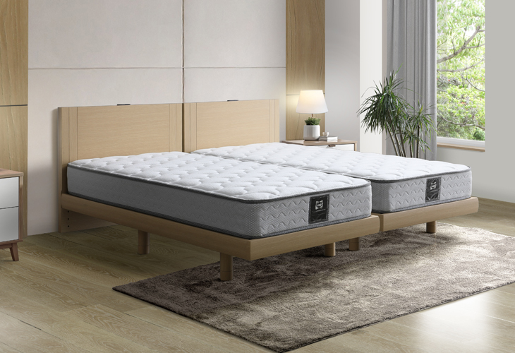 sealy bed